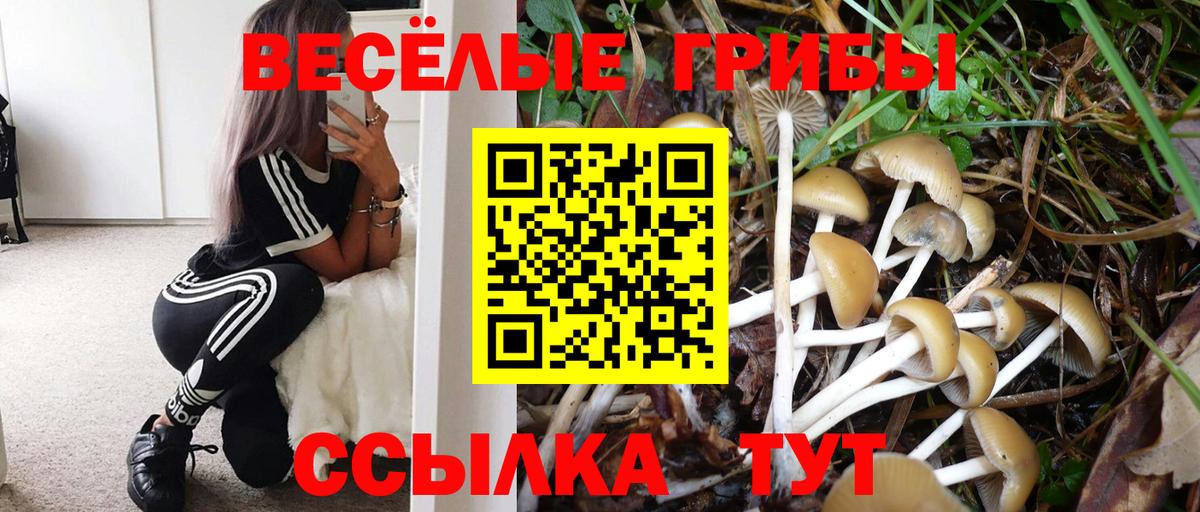 Псилоцибиновые грибы ЛСД Балашиха