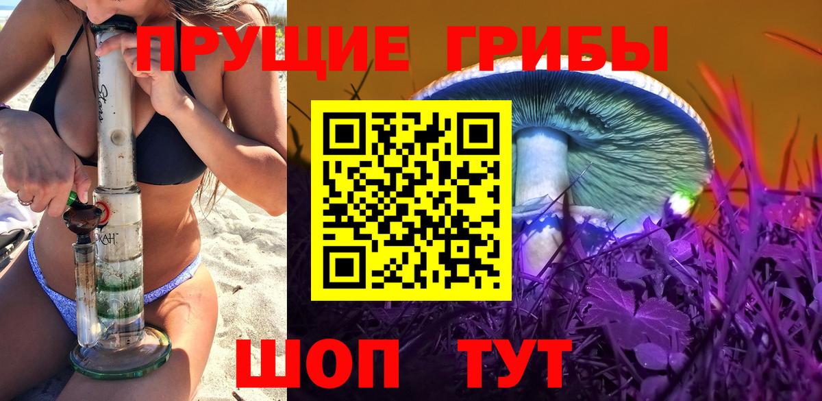 Галлюциногенные грибы Psilocybe  Вход с VPN  Балашиха 